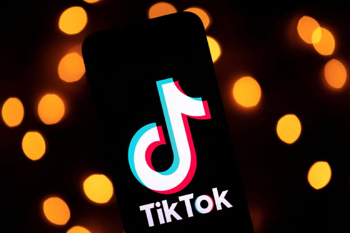 TechDogs-"An Image Showing The TikTok Logo On A Phone Screen"